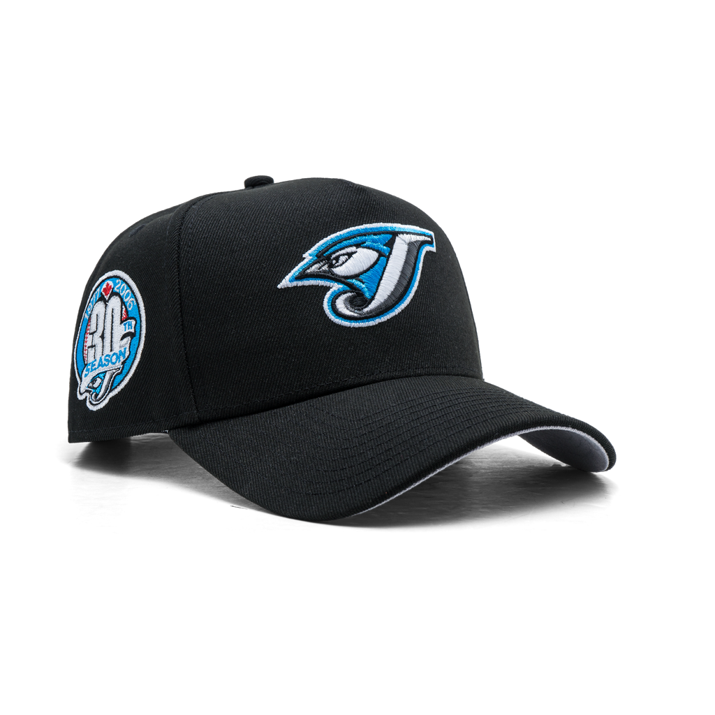 Toronto Blue Jays 9FORTY A-FRAME 2004 30th Anniversary Jays – Styll